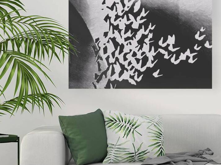 Butterfly Flutter B&W by Millie R Lissow