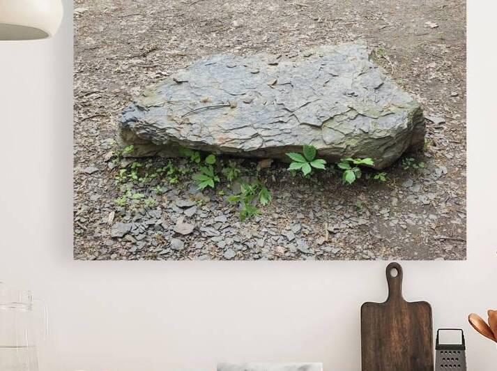 Cracked Slate Stone by Millie R Lissow