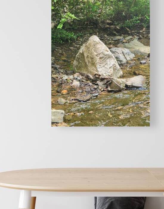 Waters Edge by Millie R Lissow