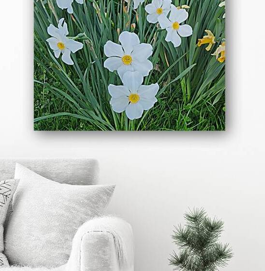 Park Flowers   Cluster by Millie R Lissow