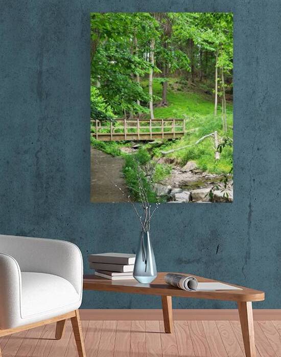 Falls Park Bridge - Side View by Millie R Lissow