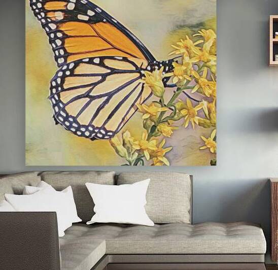 Butterfly on Flower by Millie R Lissow