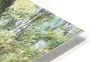 August Trail 2 HD Metal print