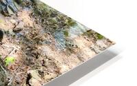 Wet Stone HD Metal print