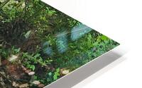 Waters Edge HD Metal print