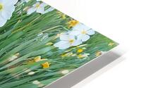 Park Flowers   Cluster HD Metal print