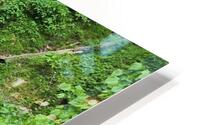 Falls Park Bridge  HD Metal print
