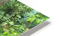 Signed Tree HD Metal print