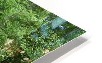 Tree & Park Bench HD Metal print