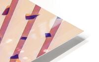 Peach Slices HD Metal print
