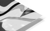 Electric Lines  - B&W HD Metal print