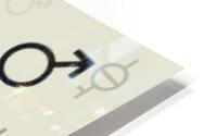 Gender Key HD Metal print