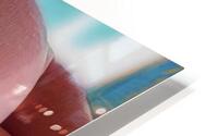 Quiet Radiance HD Metal print
