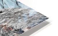 Water Snake HD Metal print