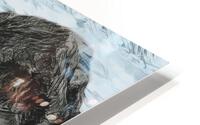Water Snake - Outer View HD Metal print