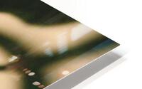 Hidden Kiss HD Metal print