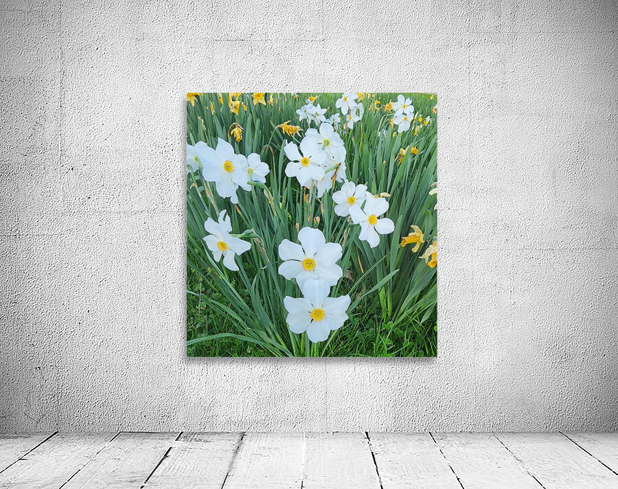 Park Flowers   Cluster Wall Preview