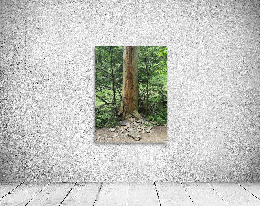 Signed Tree Wall Preview