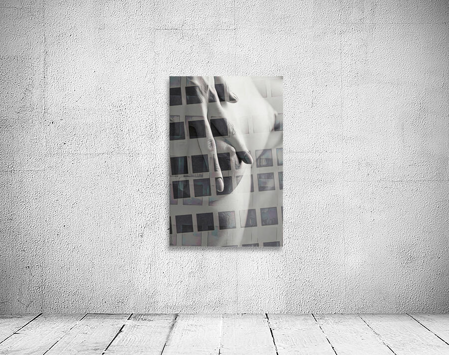 Hidden In View Wall Preview