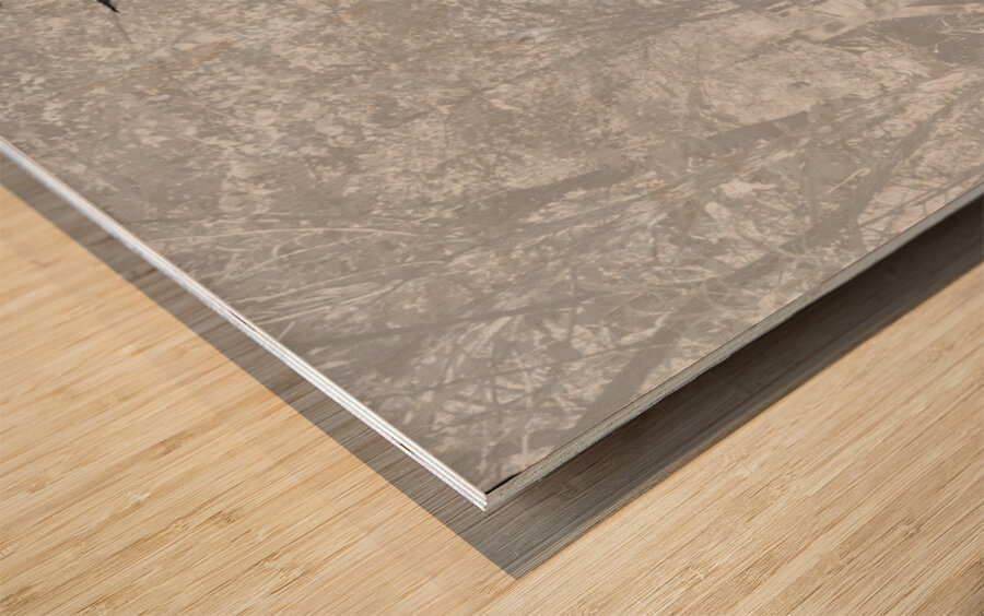 Jagged Edges B&W Wood print