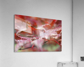 Fall Acrylic Print