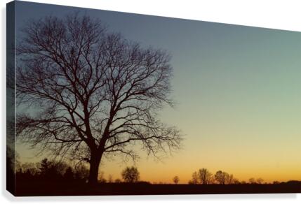 Sunsest Glory Canvas Print
