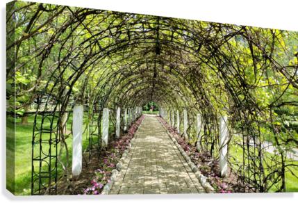 Archway Canvas Print