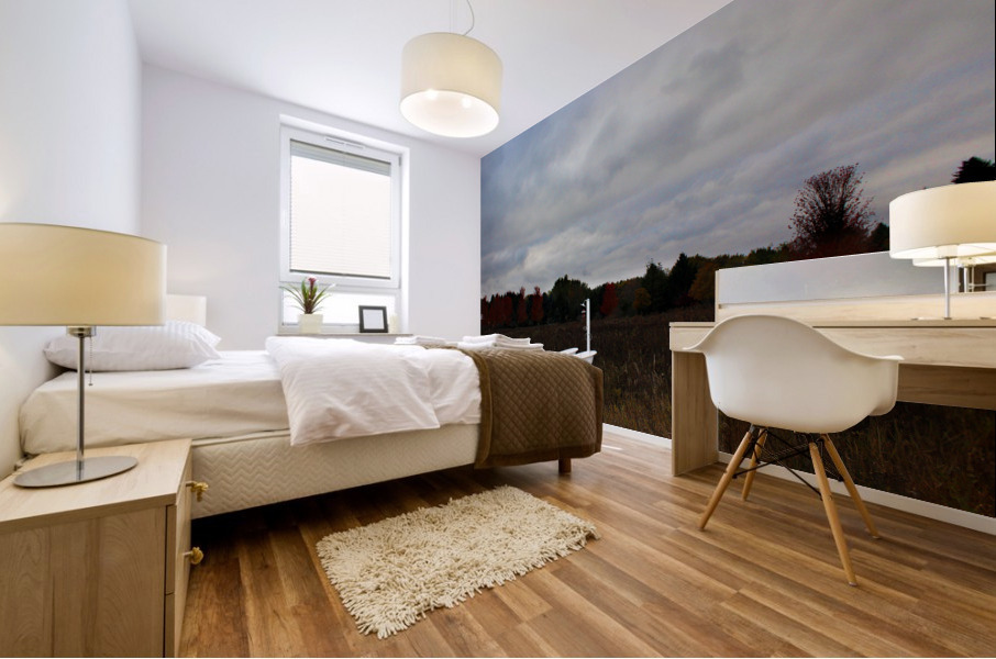 Room for Two Mural print