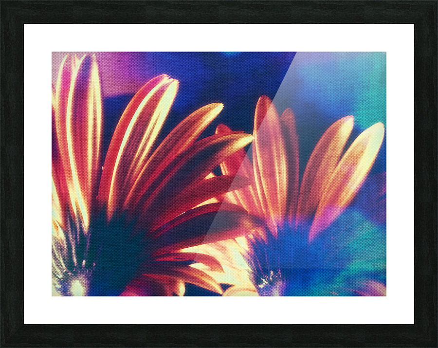 Blooming Bright Picture Frame print