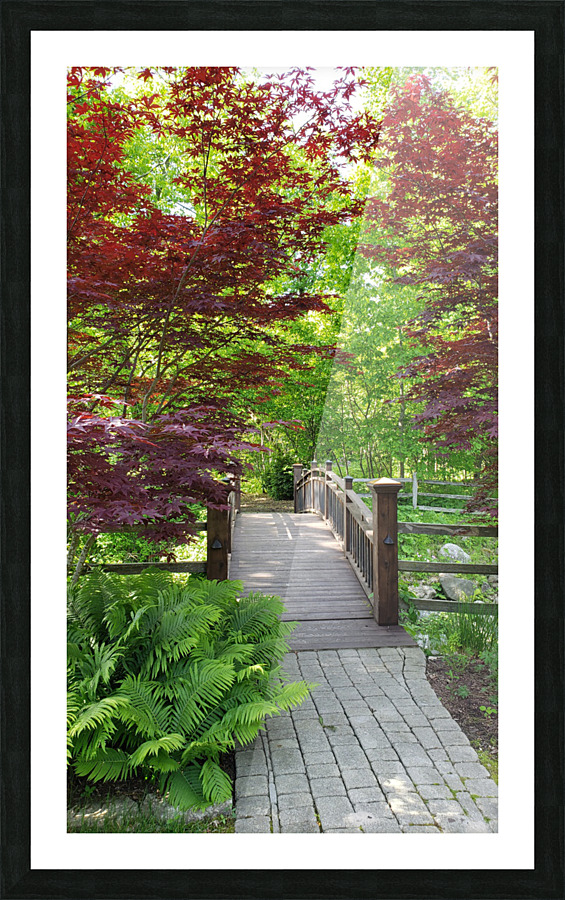 Bridge Picture Frame print