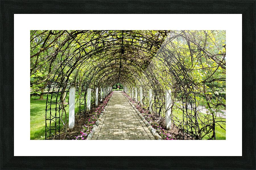 Archway Picture Frame print