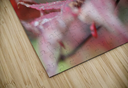 Fall Laura Castellanos puzzle