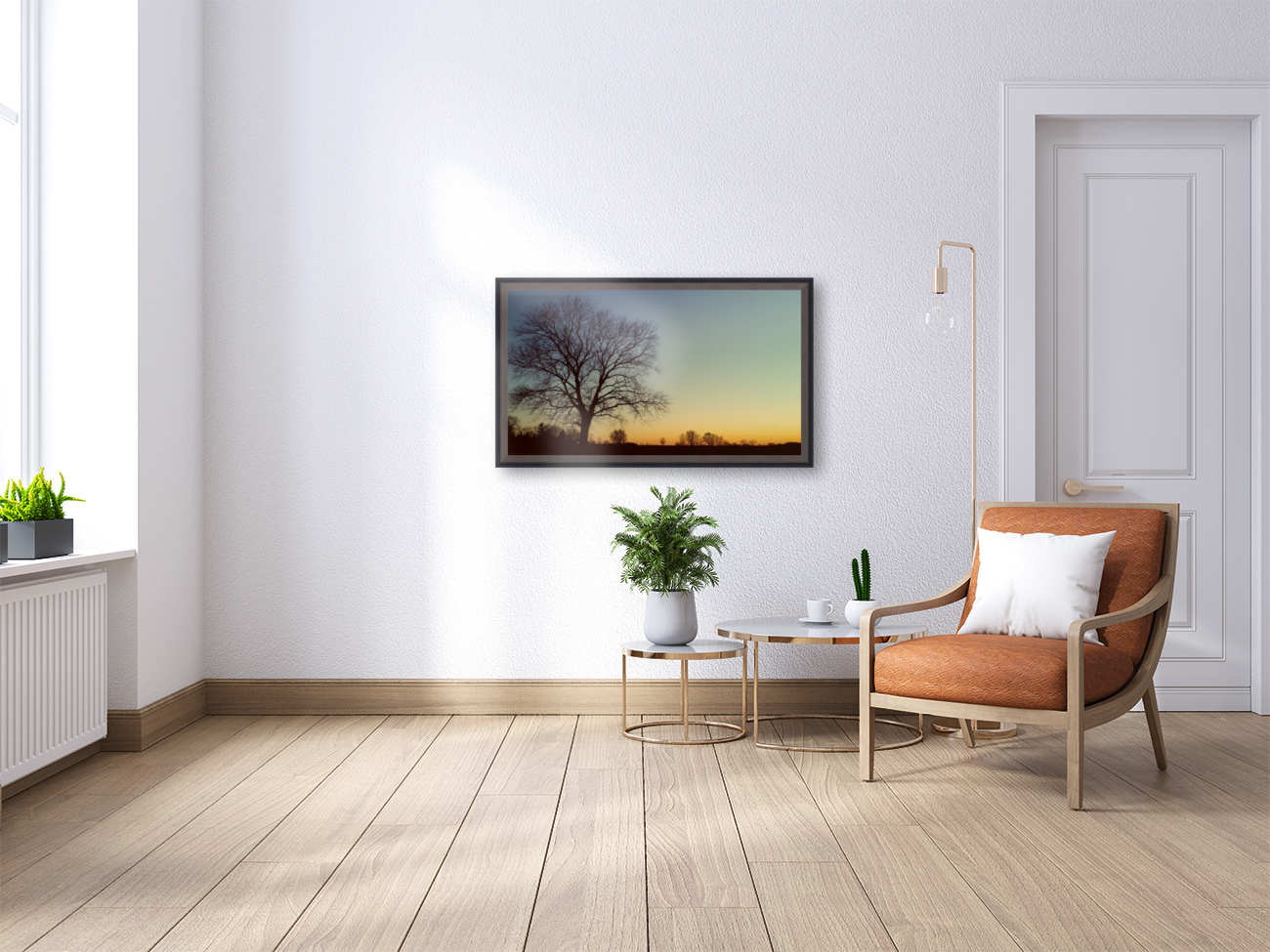 Sunsest Glory Reproduction