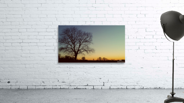 Sunsest Glory Wall Preview