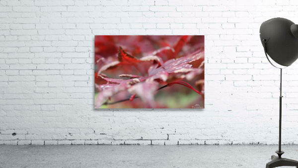 Fall Wall Preview