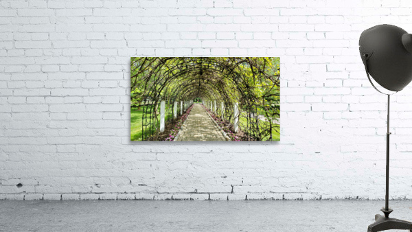 Archway Wall Preview