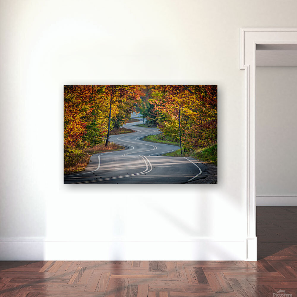 Winding Road Reproduction