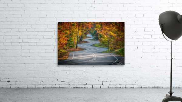 Winding Road Wall Preview
