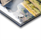 An Elephant Goodbye Acrylic print