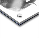 Dusty Dinner Acrylic print