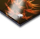 Branching Out Acrylic print