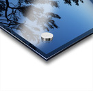 Oregon Coast Silhouette Acrylic print