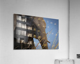 Mindful Elephant Acrylic Print