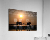 Silhouette Sunset Acrylic Print