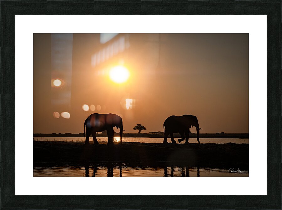 Silhouette Sunset Picture Frame print