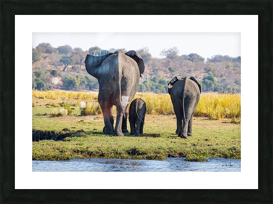 An Elephant Goodbye Picture Frame print