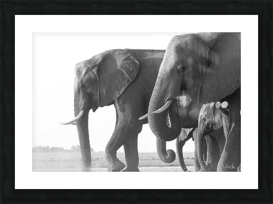 Dusty Dinner Picture Frame print