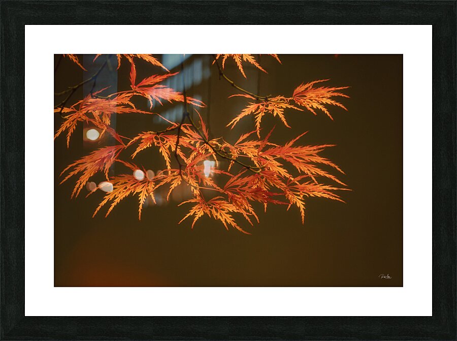 Branching Out Picture Frame print