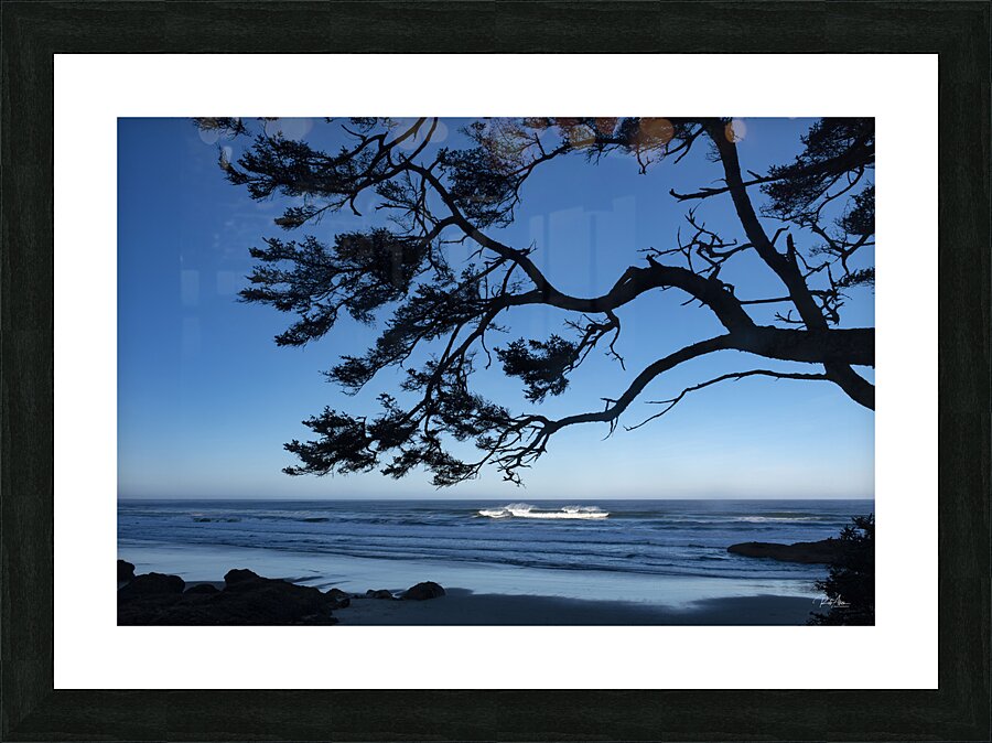 Oregon Coast Silhouette Picture Frame print
