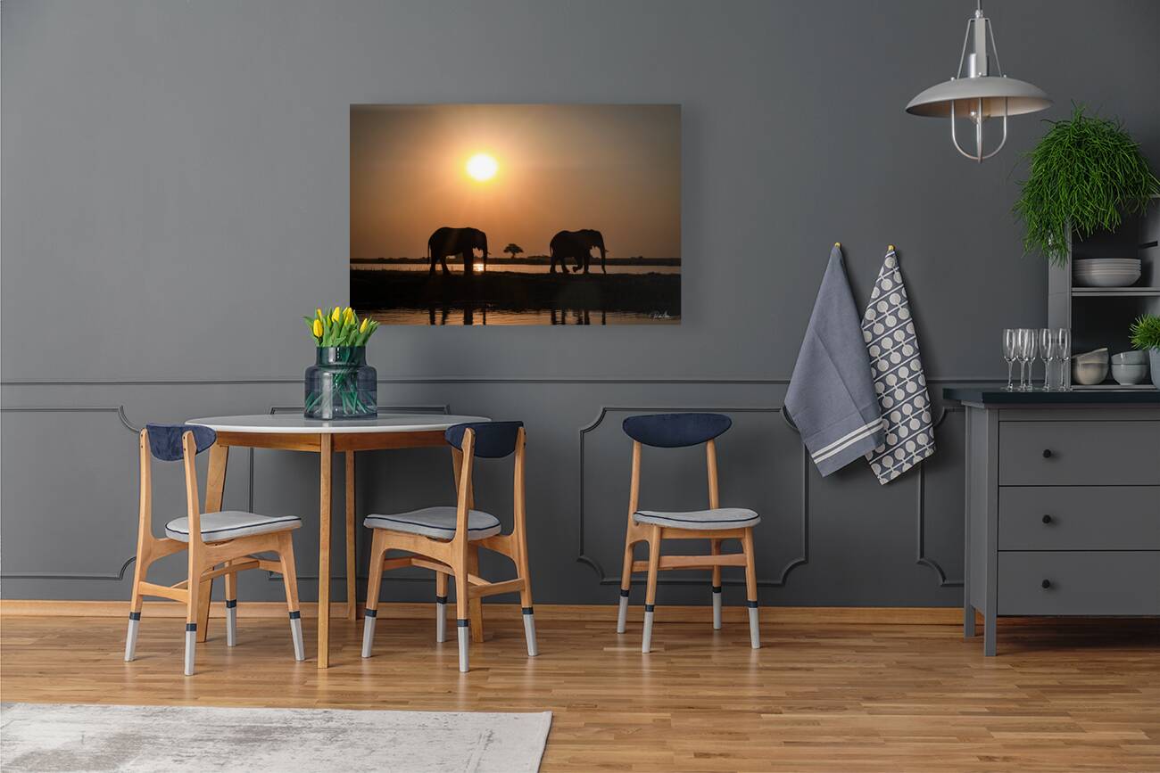 Silhouette Sunset Reproduction